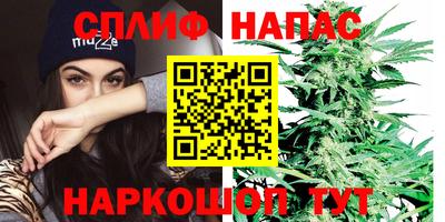 СК Краснознаменск