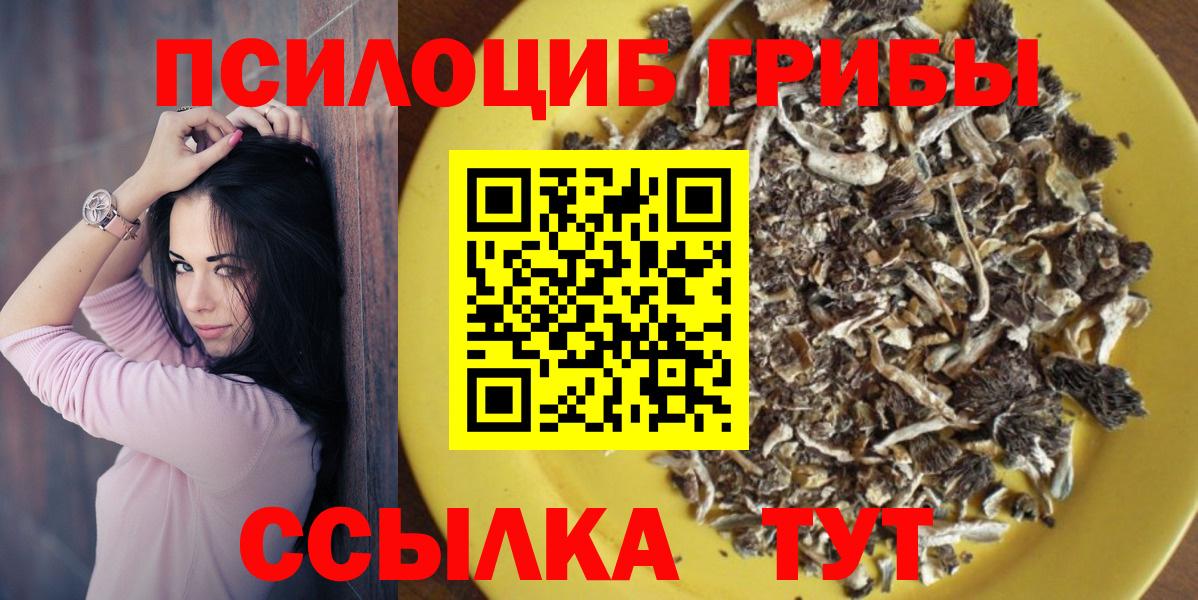 Галлюциногенные грибы Psilocybine cubensis  цены наркотик  Егорьевск  Псилоцибиновые грибы Cubensis  Вход с VPN 