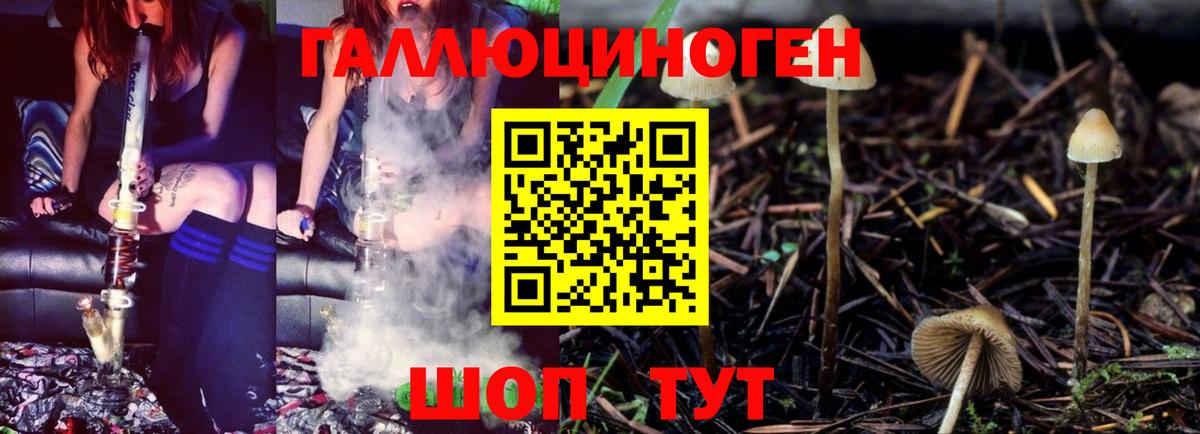 Псилоцибиновые грибы Psilocybe Егорьевск